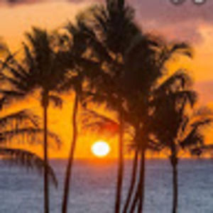 Meet your Posher, Candace